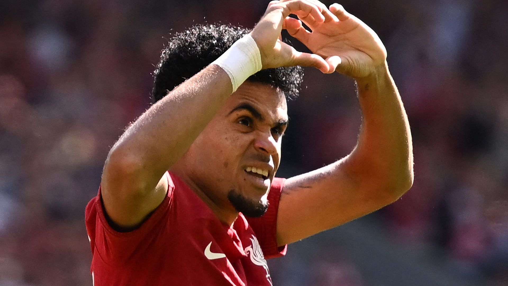 Luis Diaz Liverpool 2022