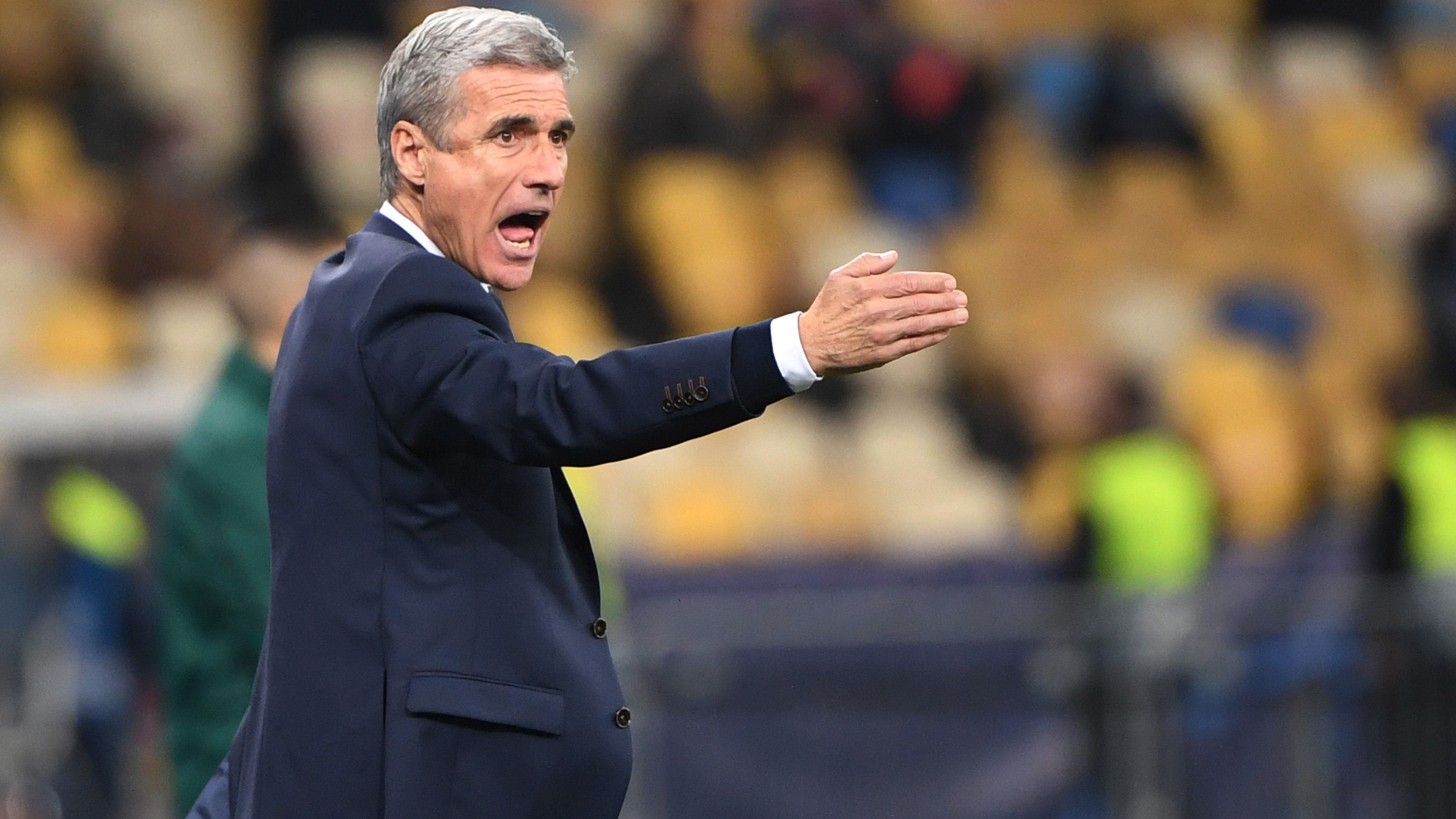 Luis Castro, Shakhtar Donetsk