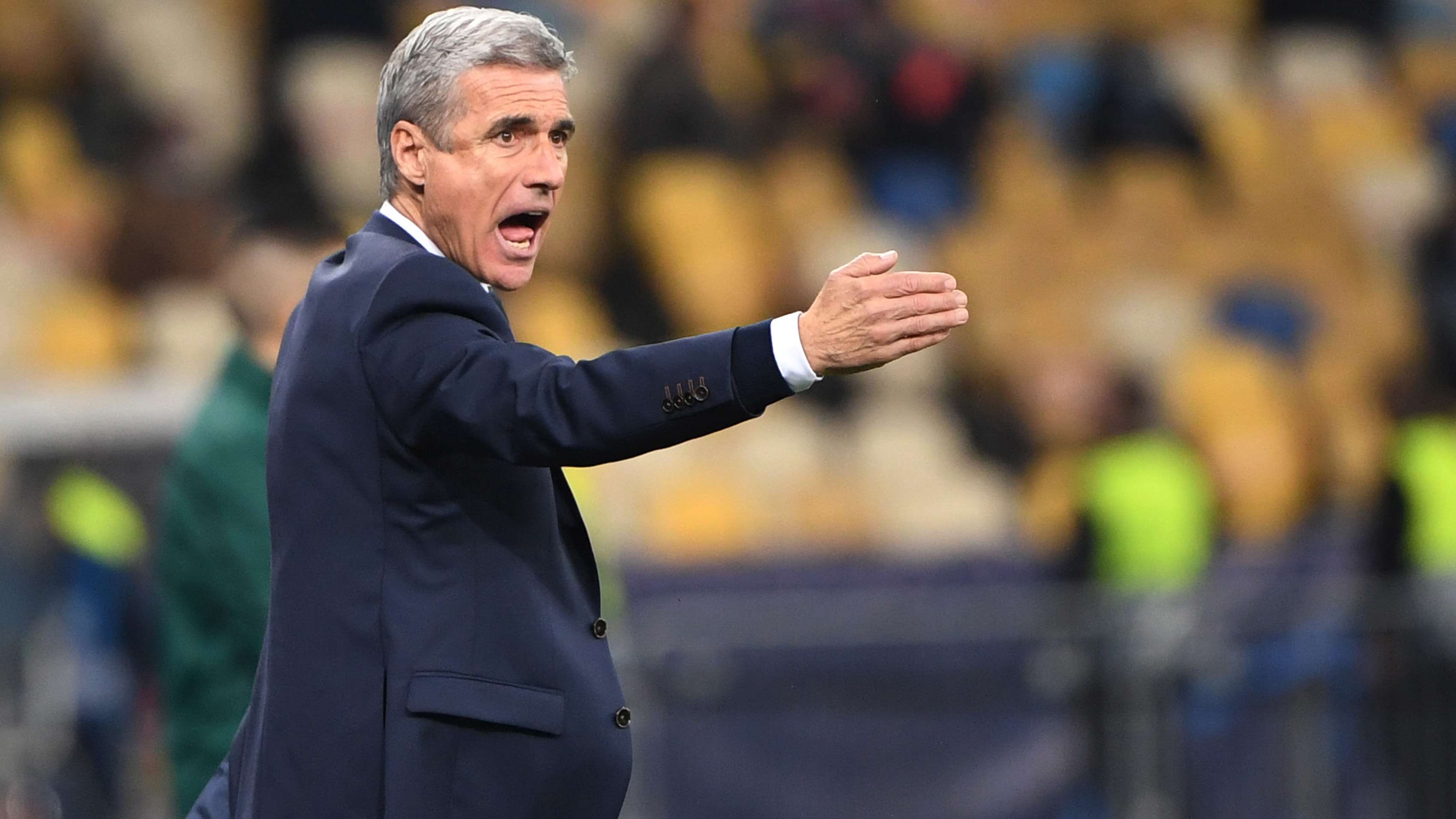 Luis Castro, Shakhtar Donetsk