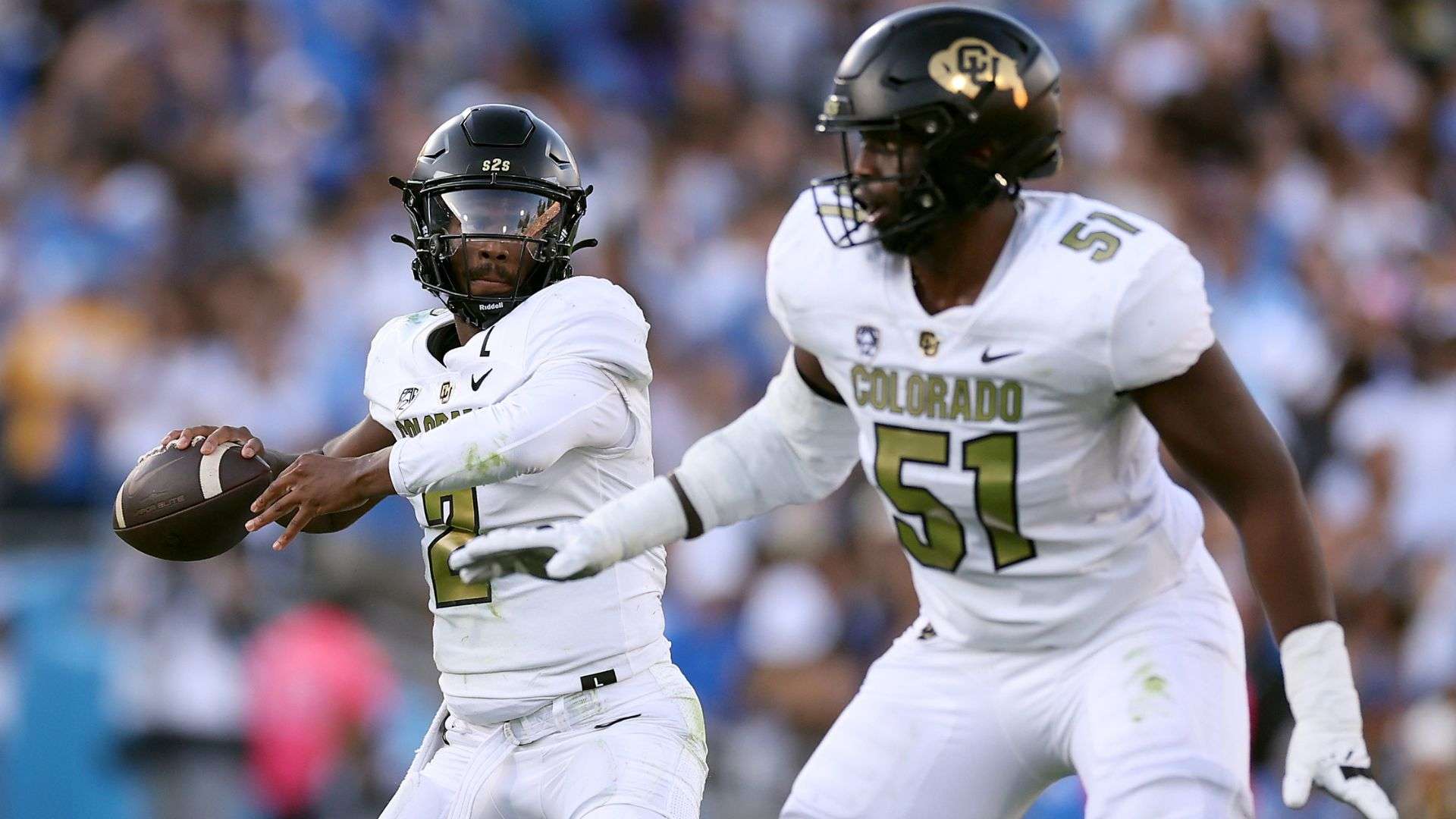 colorado buffaloes
