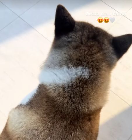 Chiara Frattesi Instagram Story