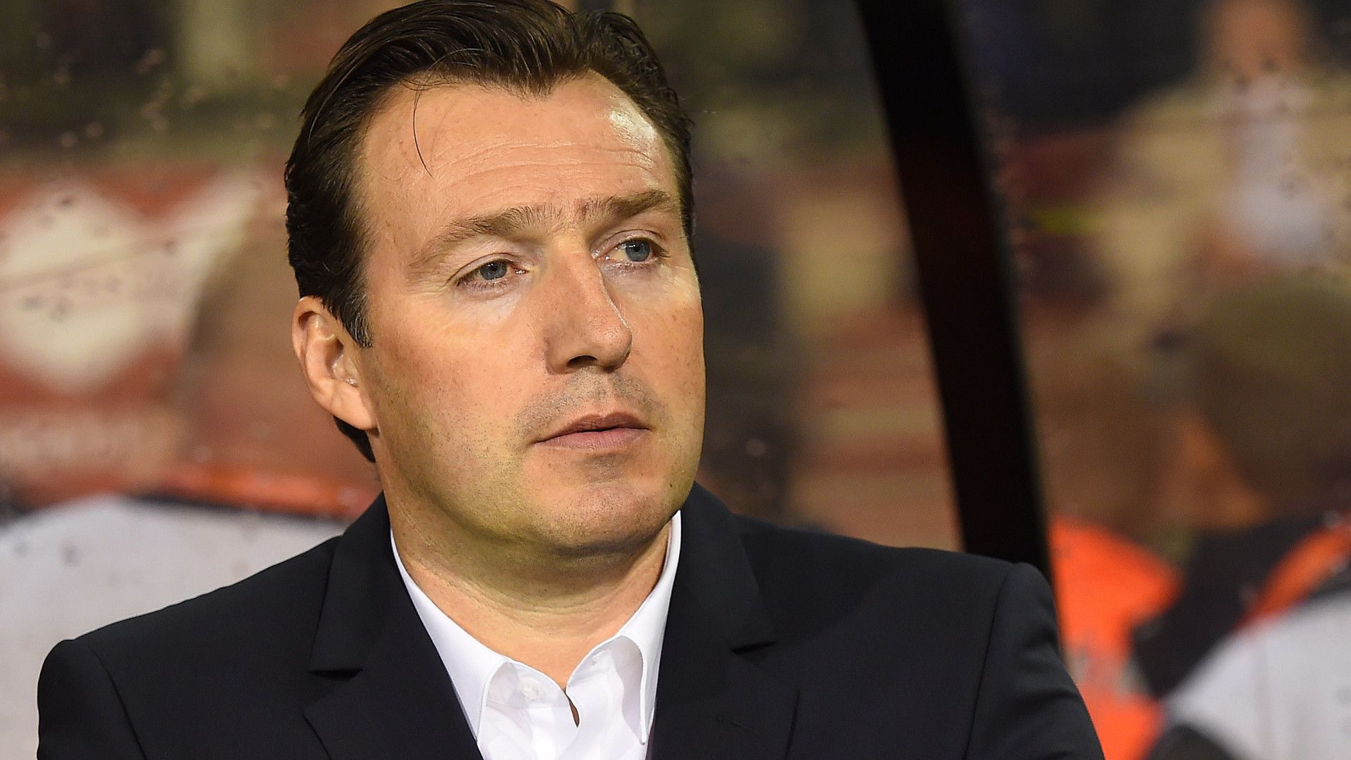 Marc Wilmots Belgien 16112014