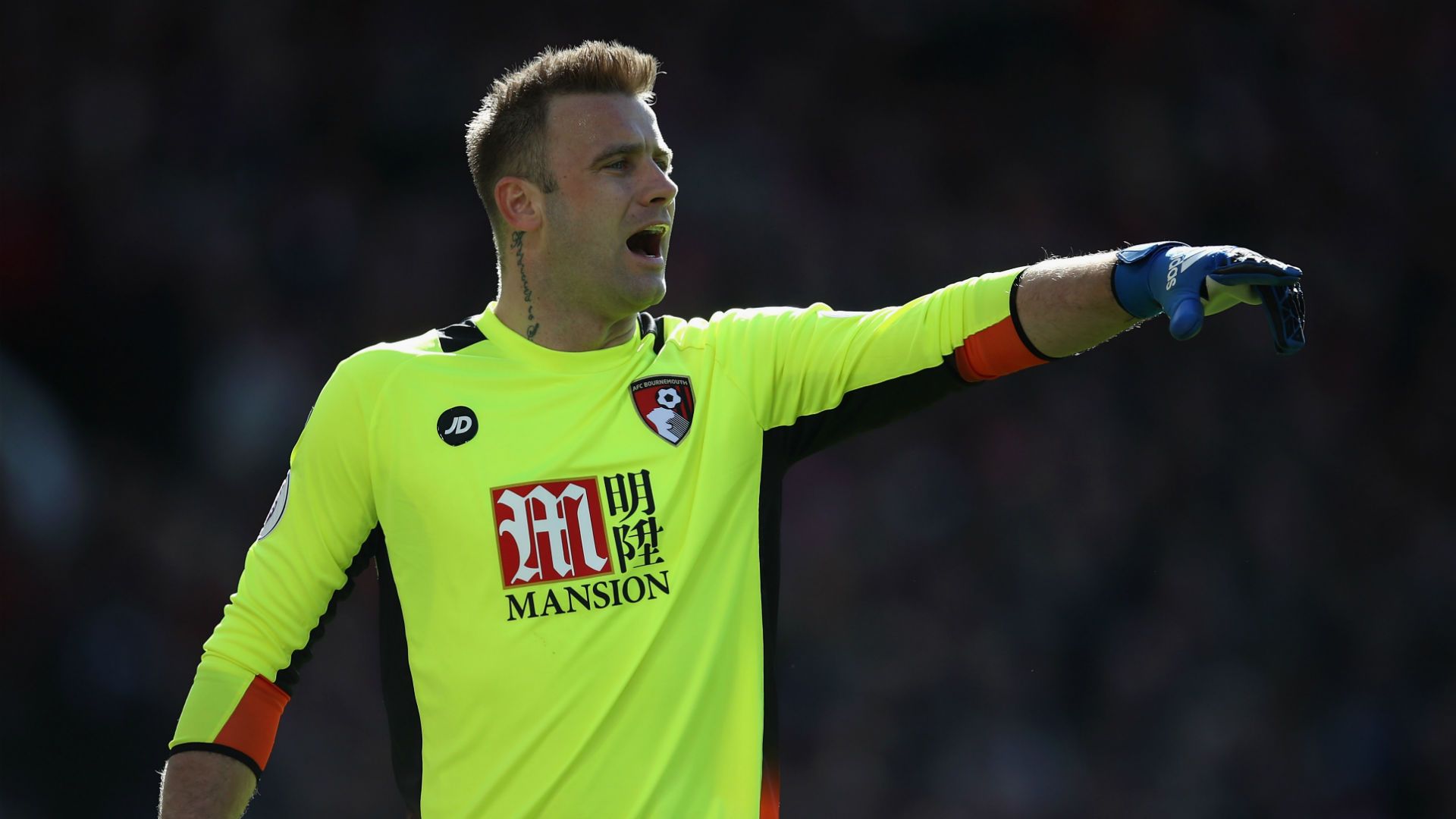 Artur Boruc Bournemouth 04032017
