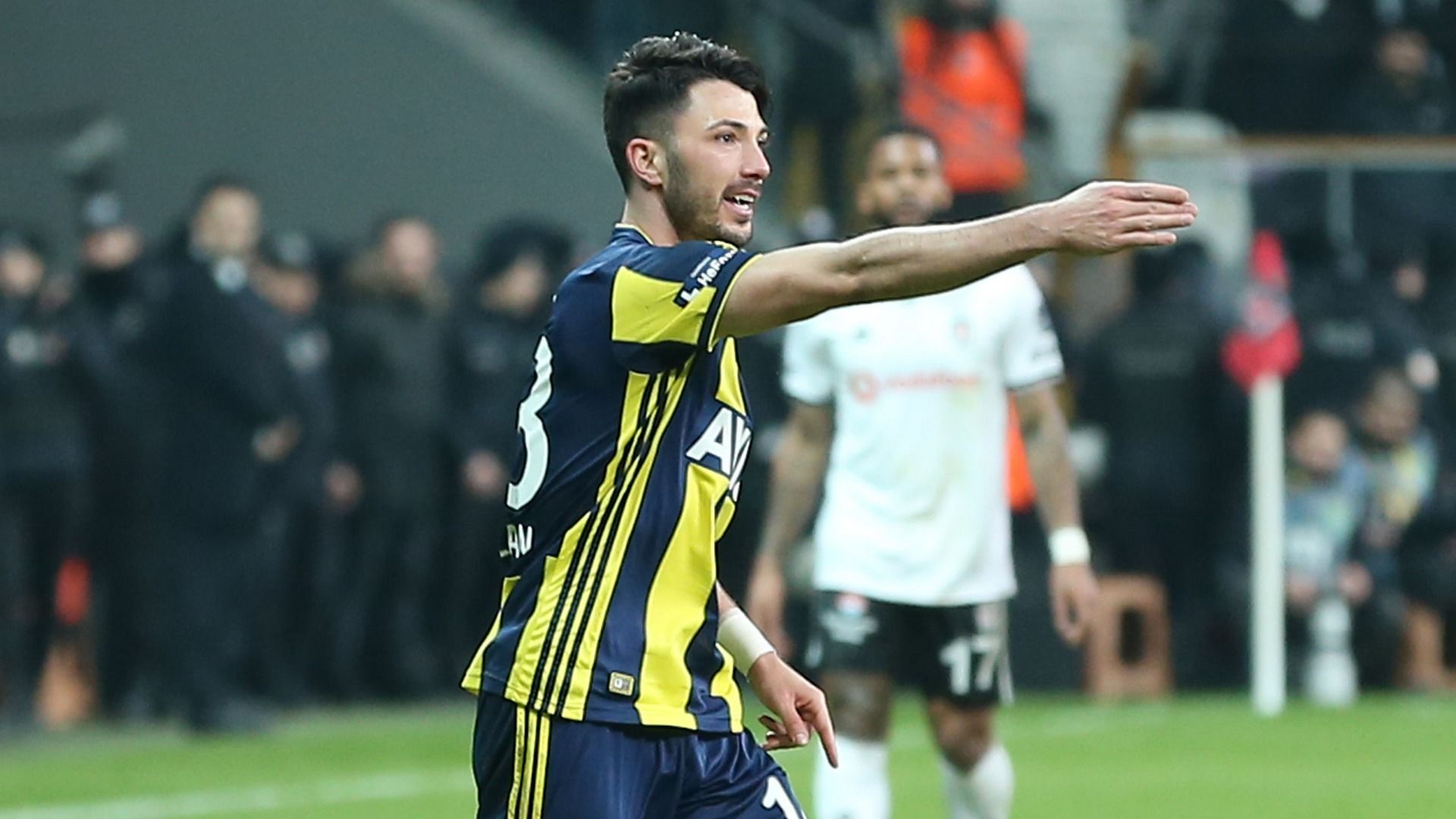 Tolgay Arslan Fenerbahce