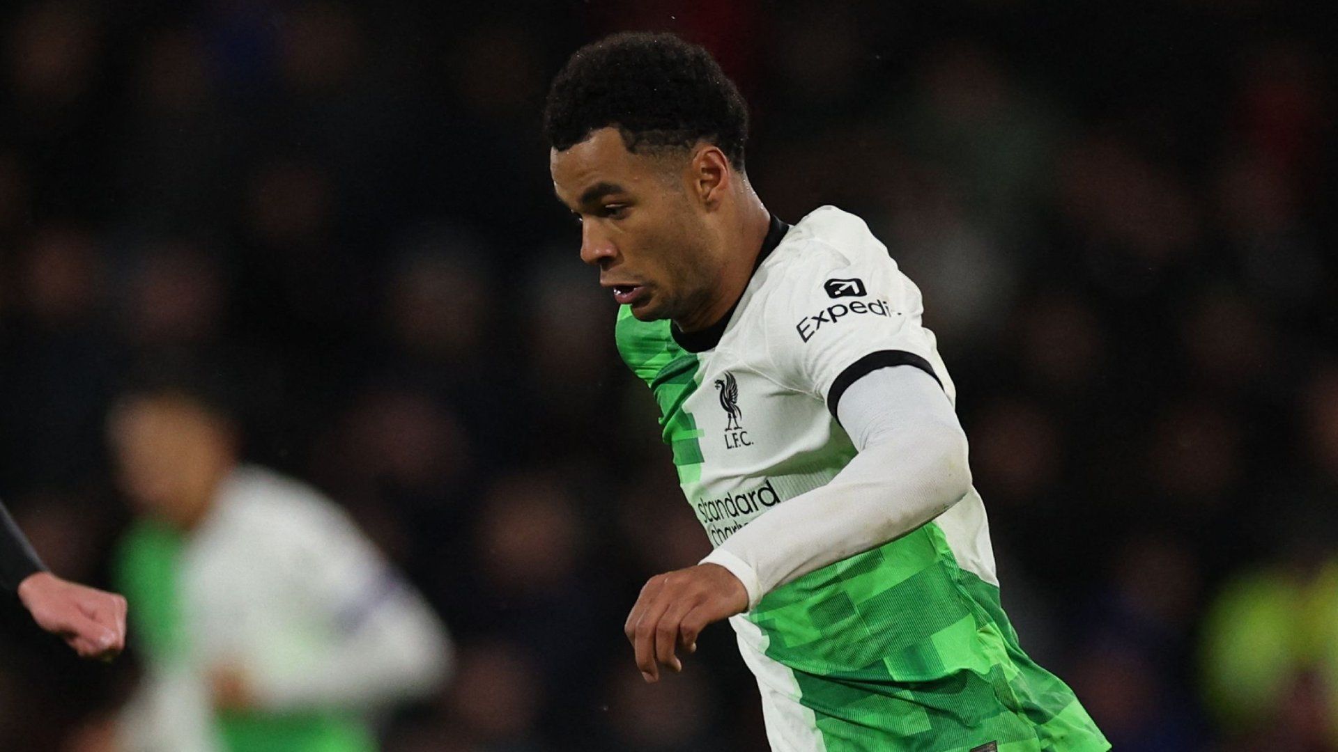 Cody Gakpo Liverpool 2023-24