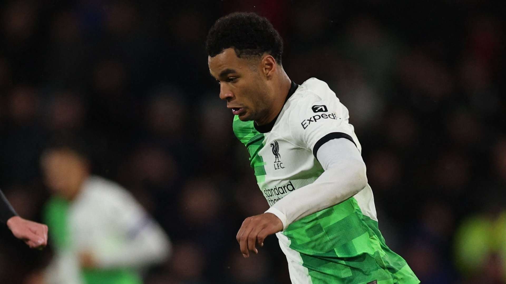 Cody Gakpo Liverpool 2023-24