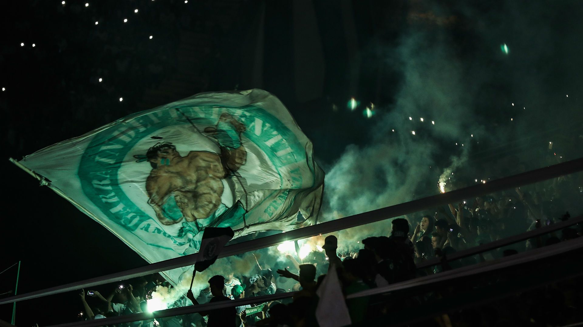 Chapecoense fans Arena Conda 30112016