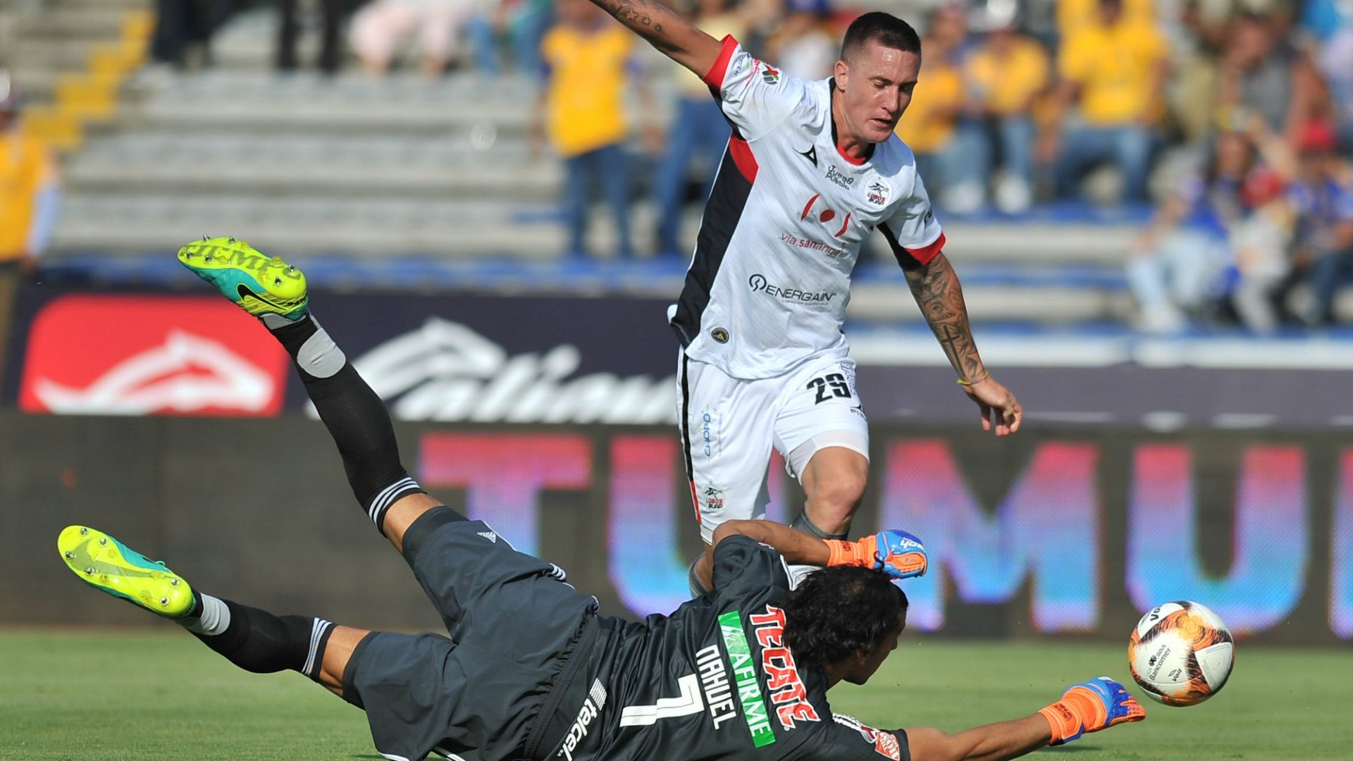 Leo Ramos Lobos BUAP 170419