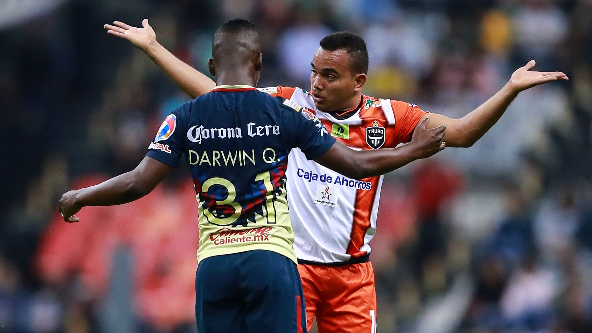 América Tauro