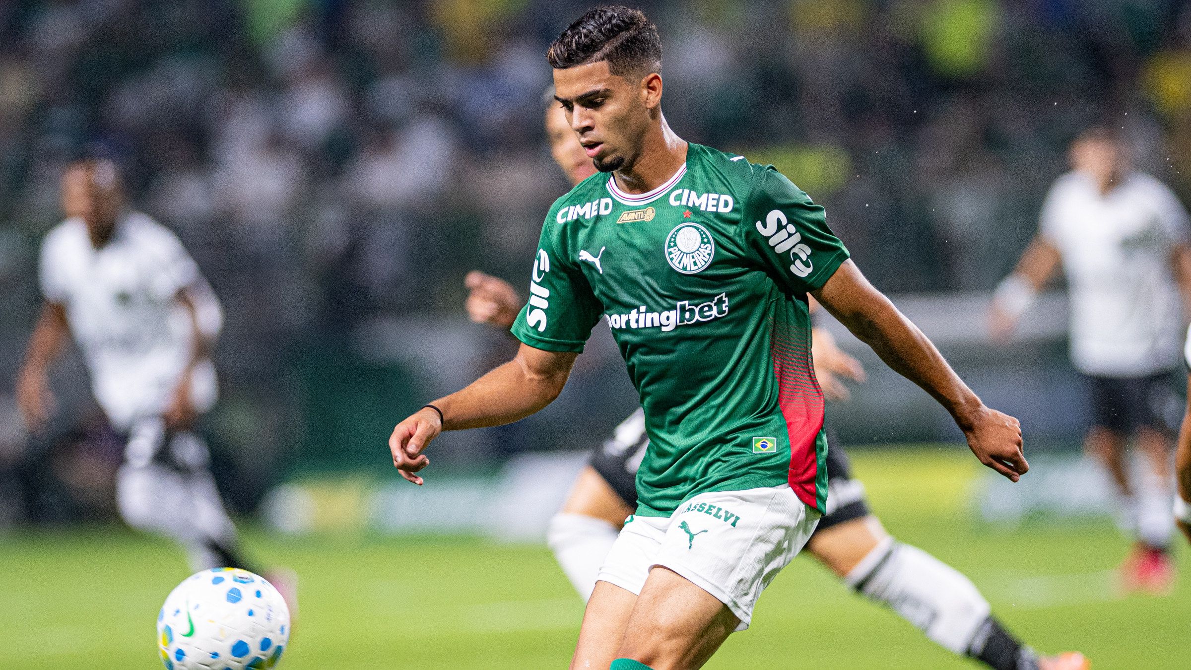 Arthur Gabriel Palmeiras