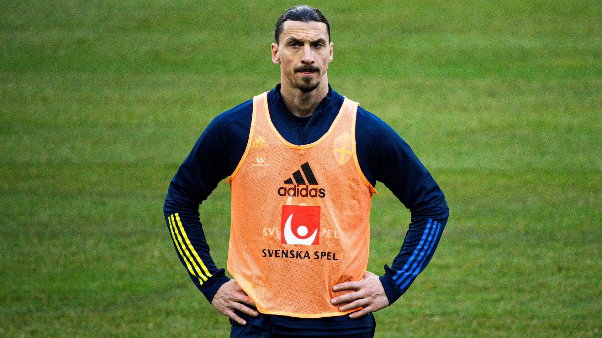 Zlatan Ibrahimovic Sweden 2021 world cup qualifiers