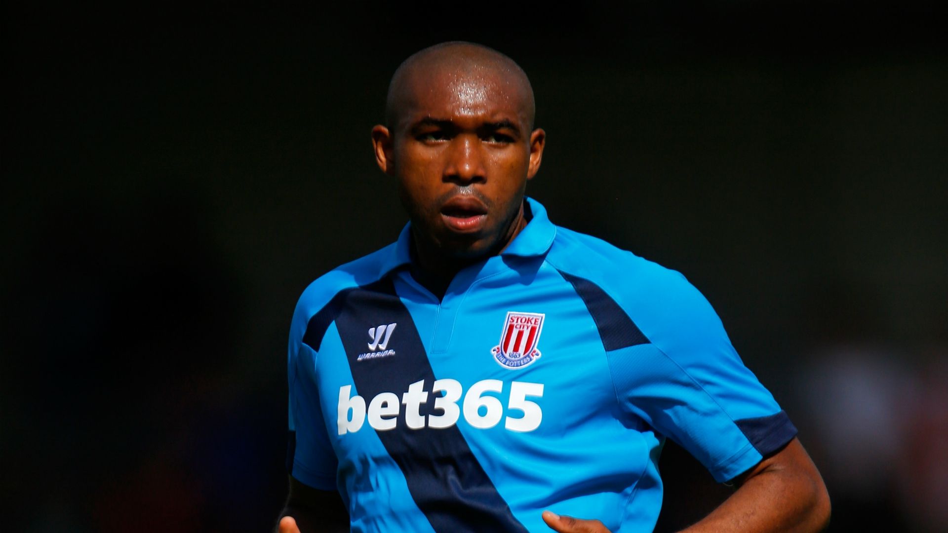 Wilson Palacios Stoke City