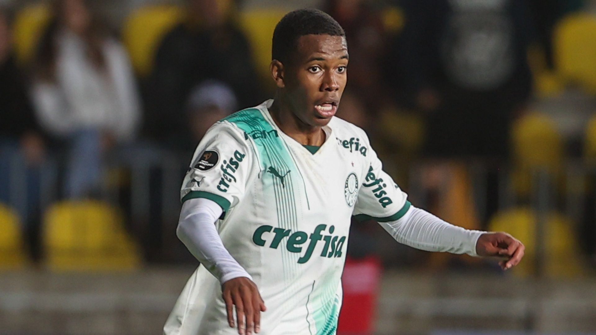 Estevão, Palmeiras