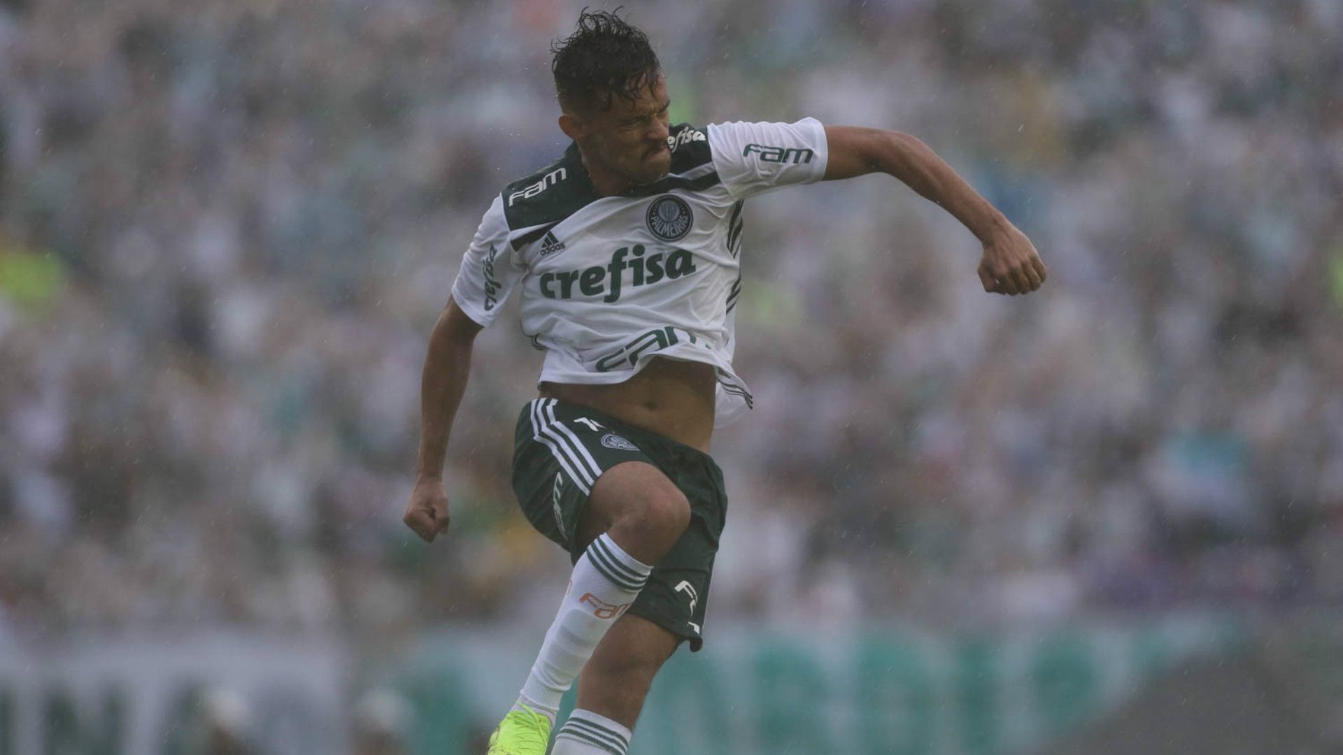 Gustavo Scarpa - Palmeiras x Paraná - 18/11/2018
