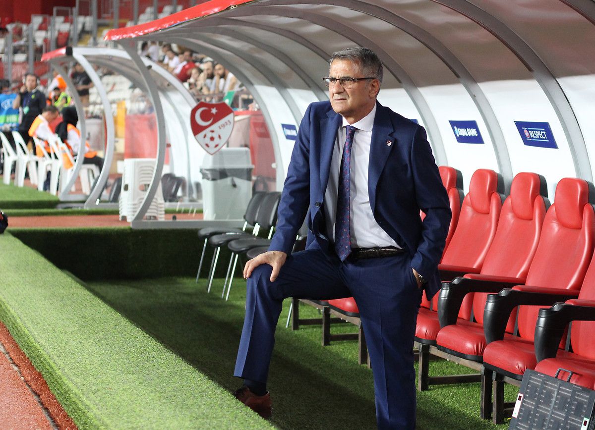 Senol Gunes Turkey Coach