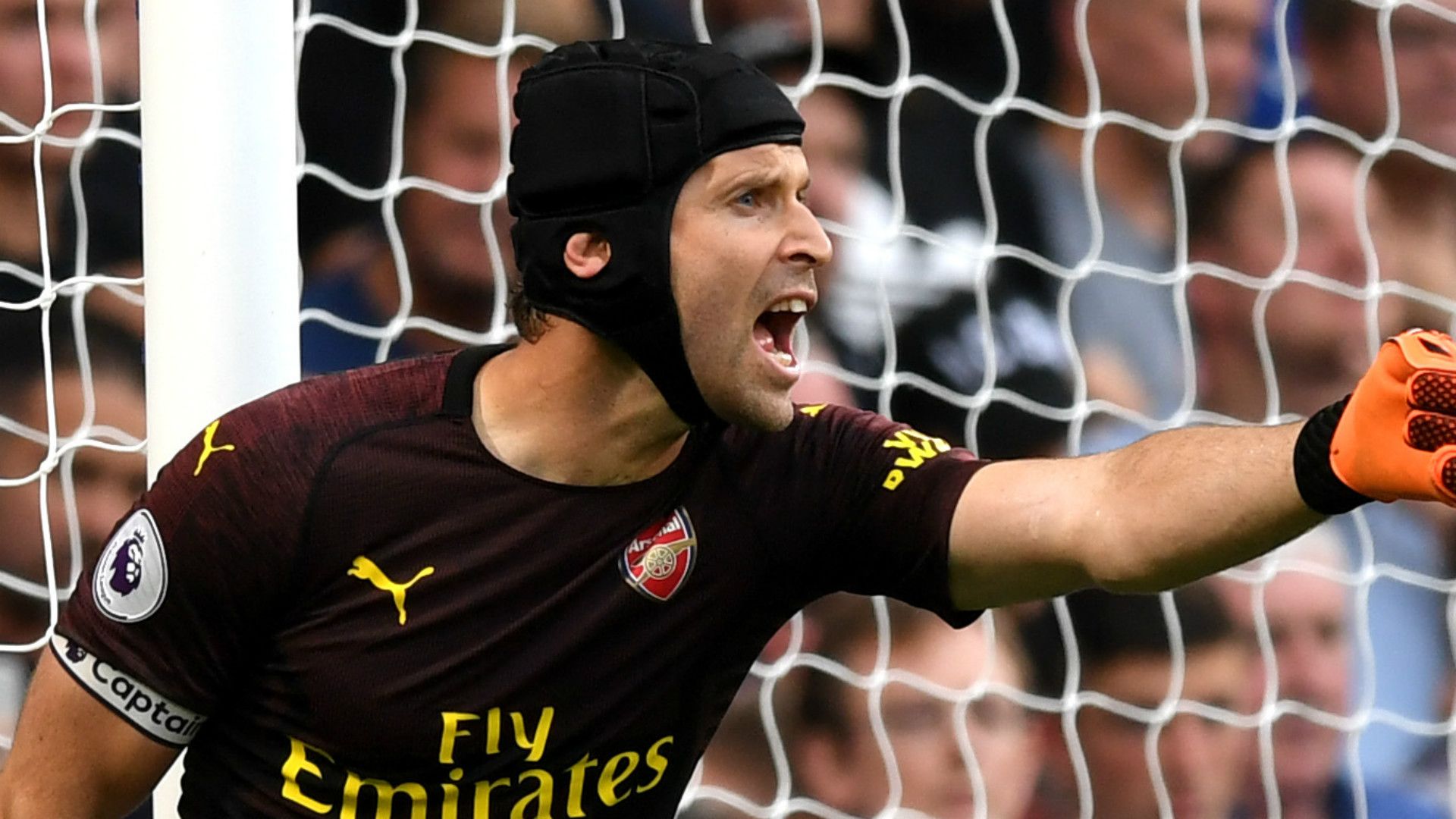 Petr Cech Arsenal 2018-19