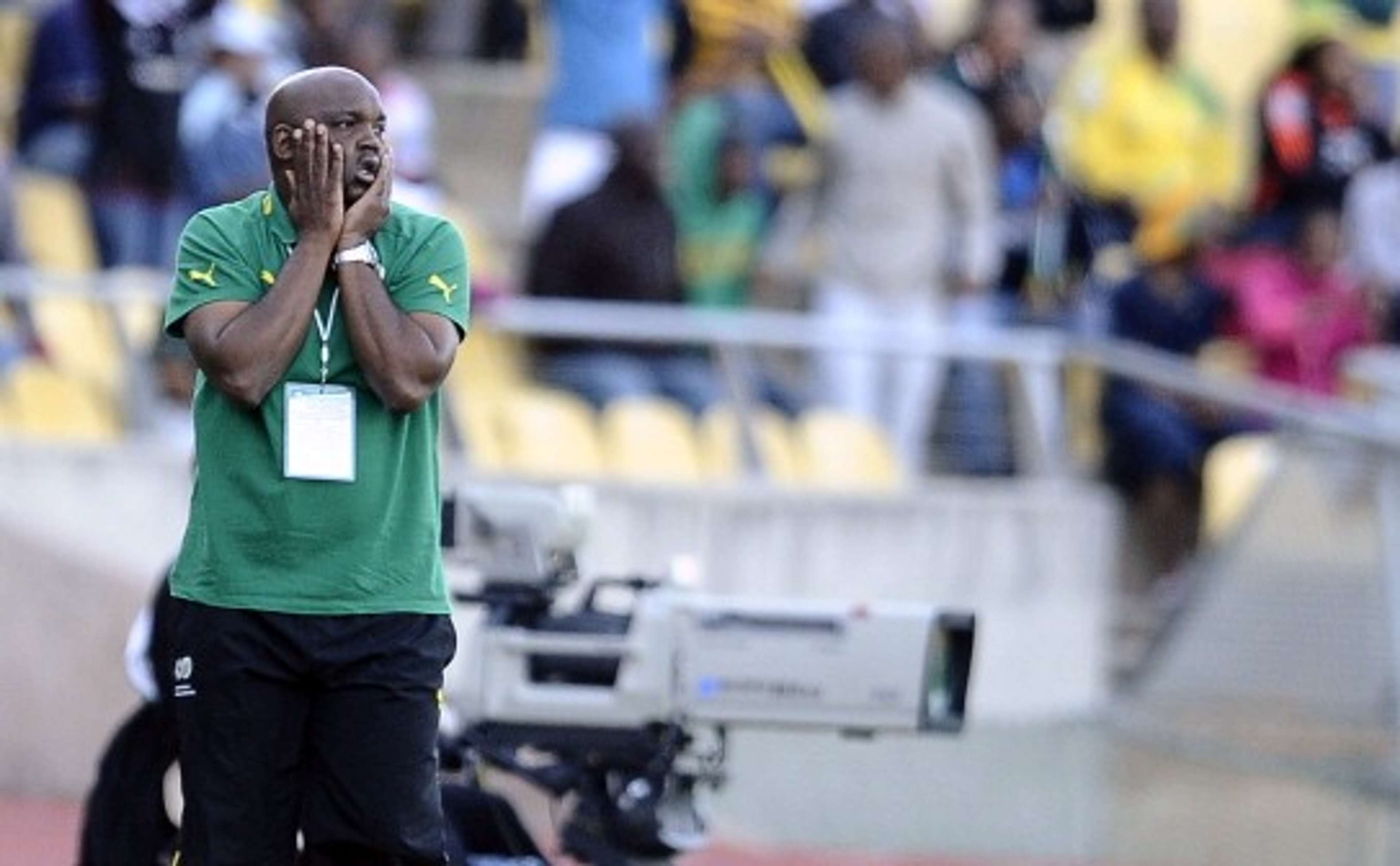 Pitso Mosimane, South Africa vs Ethiopia, World Cup qualifier, 03.06.2012