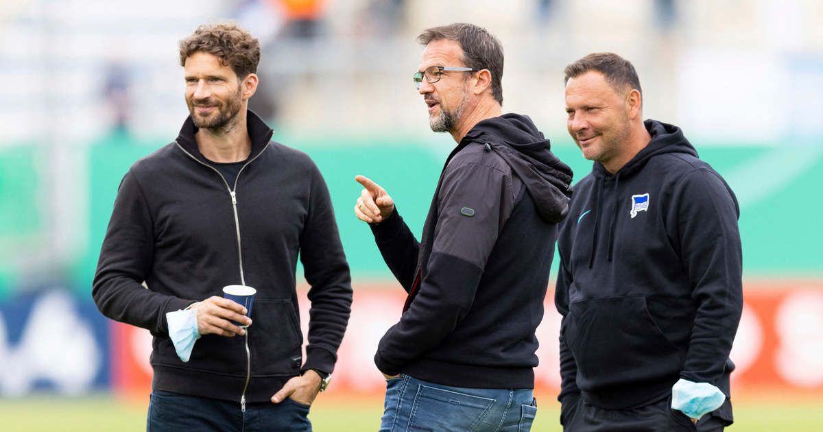 Arne Friedrich Dárdai