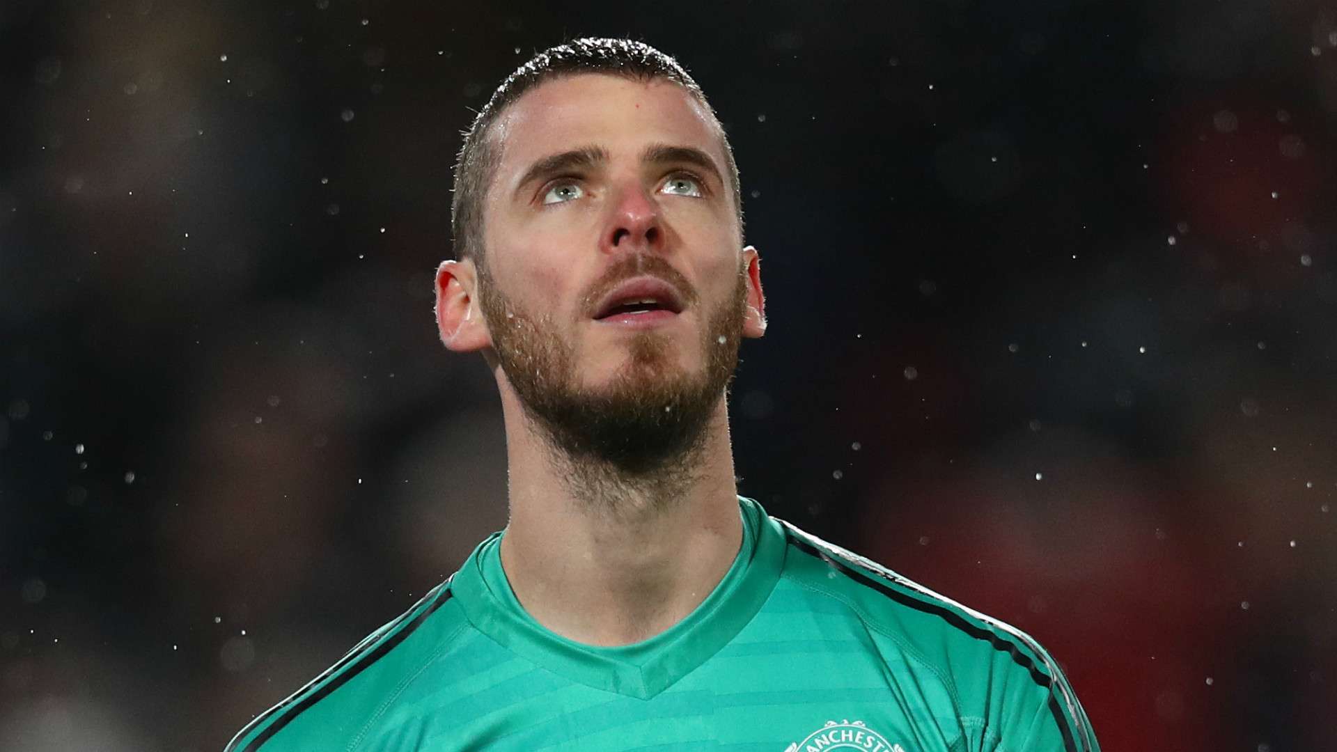 David de Gea Manchester United 2018-19