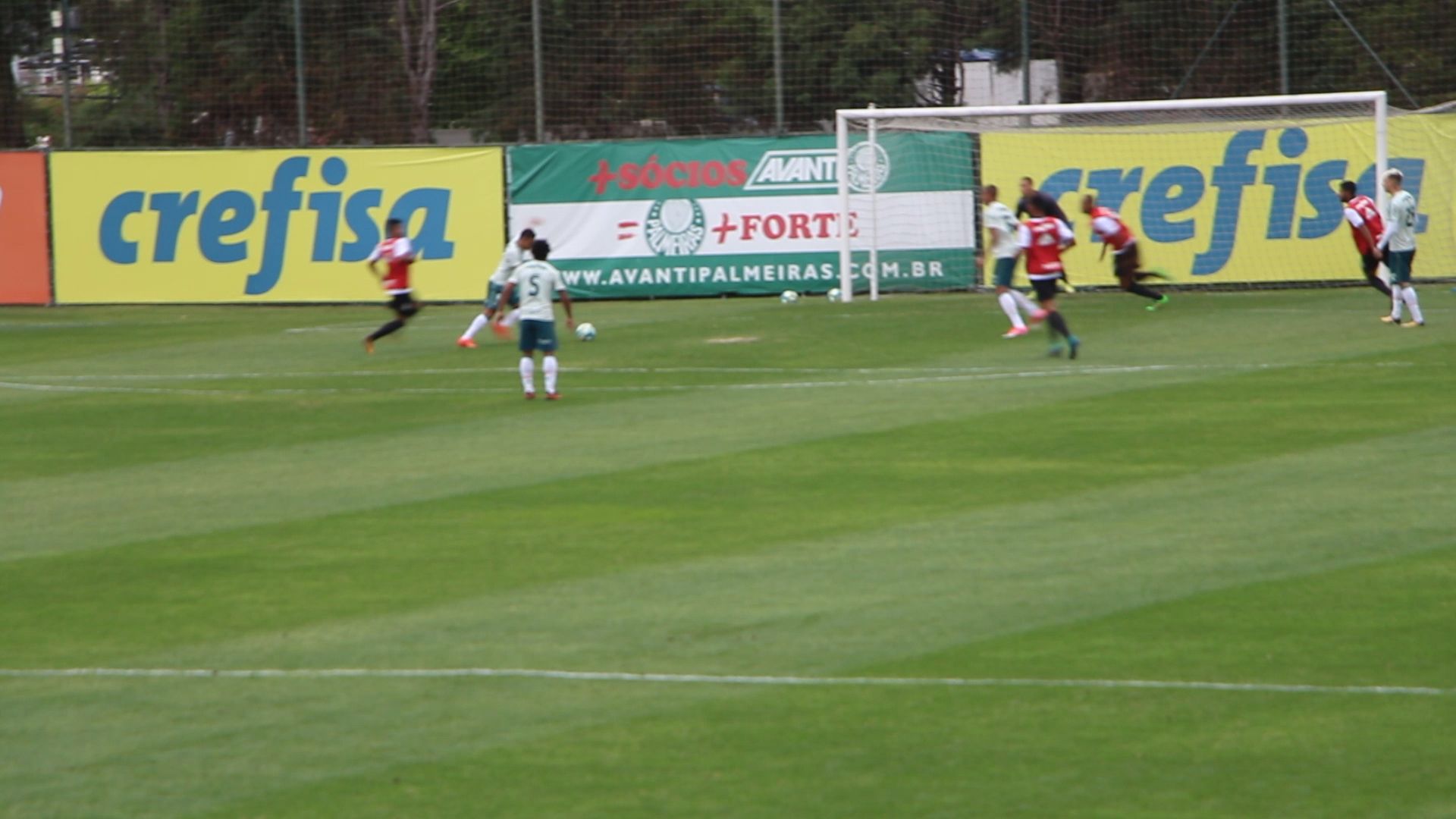 palmeiras_treino