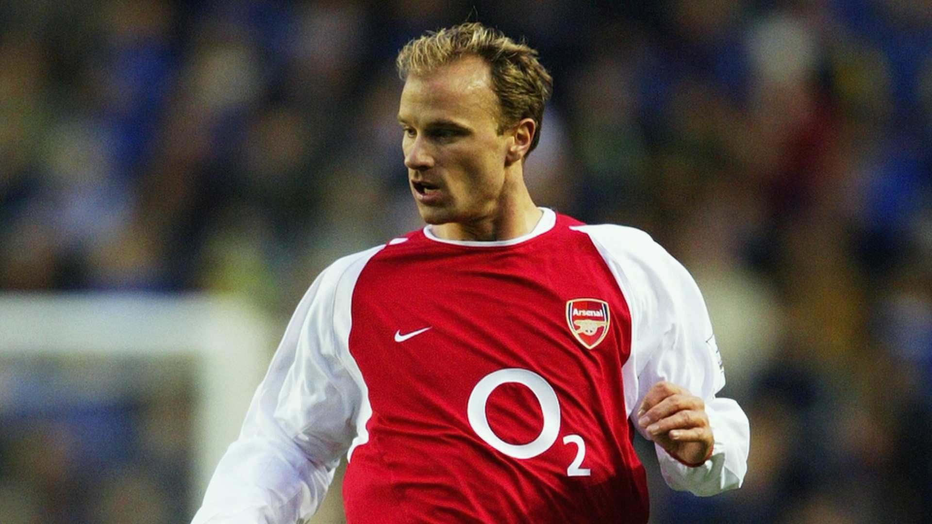 bergkamp