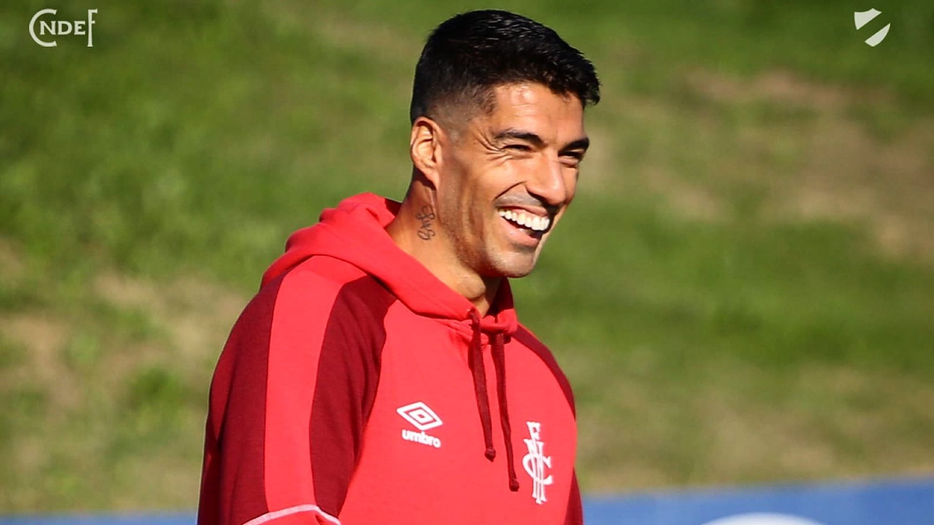 Luis Suárez Nacional 2022