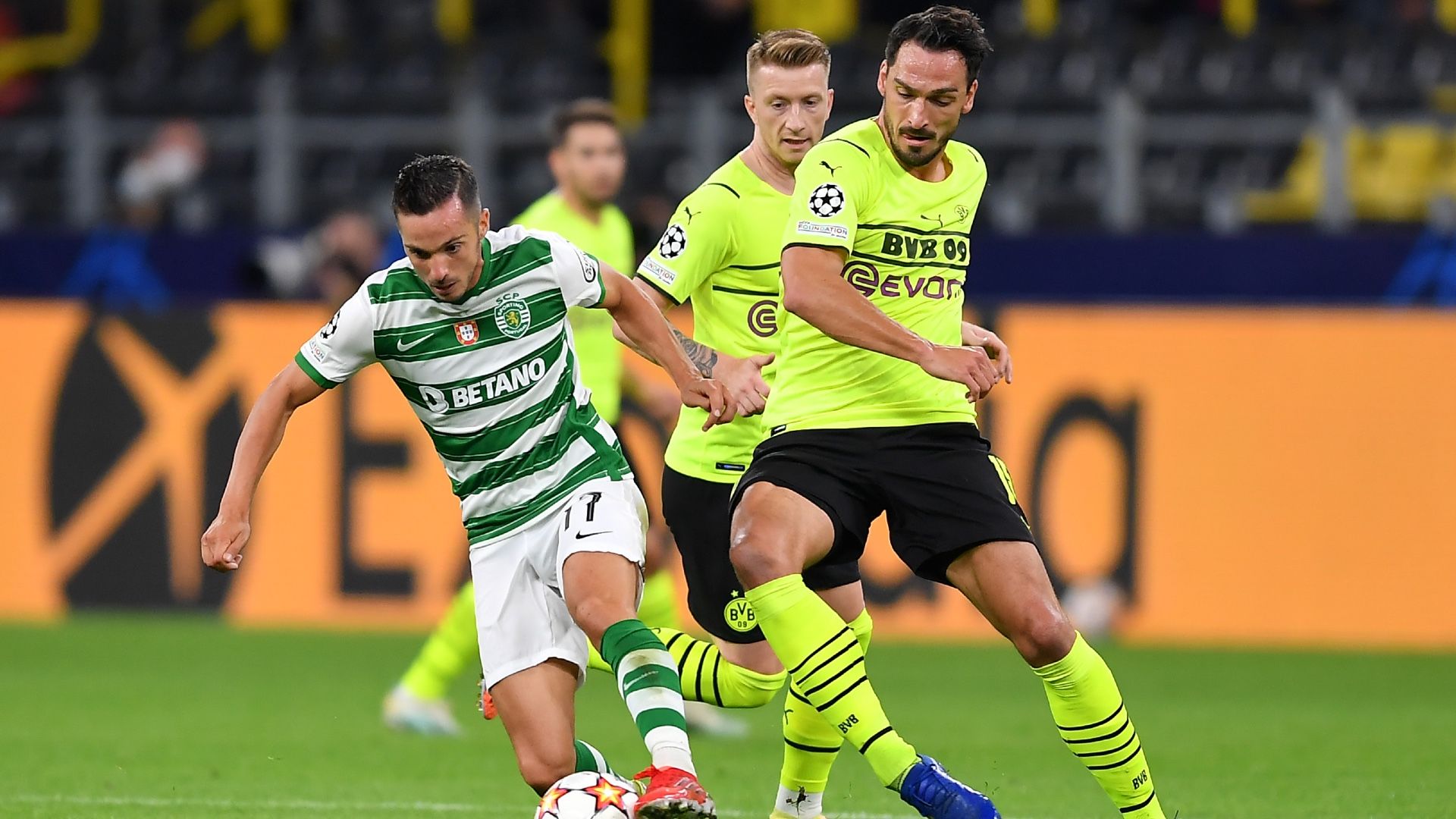 Mats Hummels Pablo Sarabia Borussia Dortmund Sporting CP Champions League 28092021