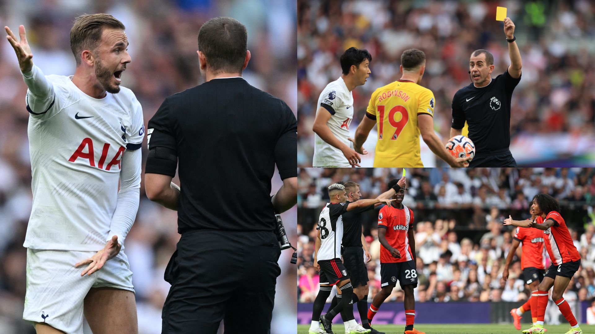 Premier League referee