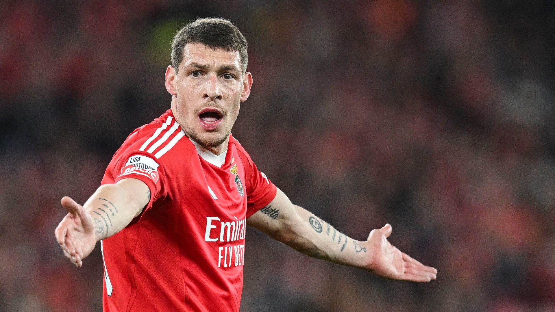 Andrea Belotti Benfica