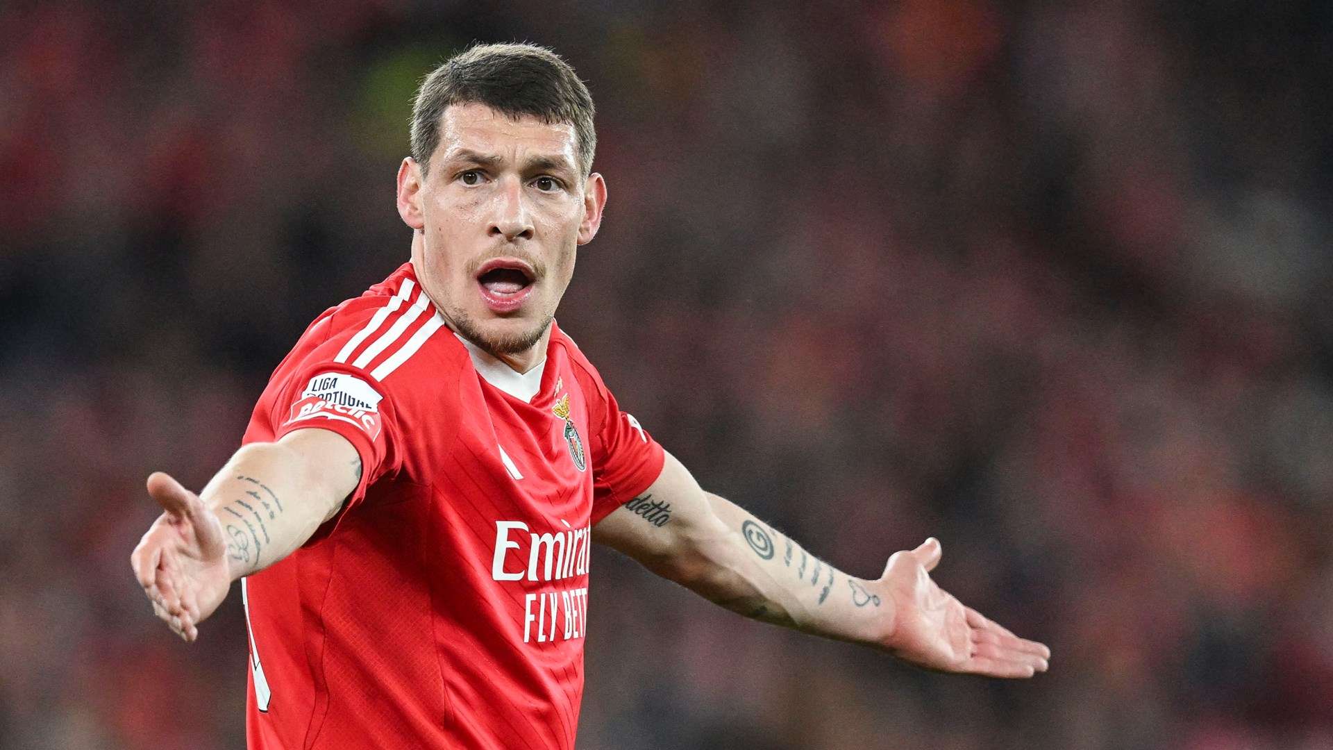Andrea Belotti Benfica