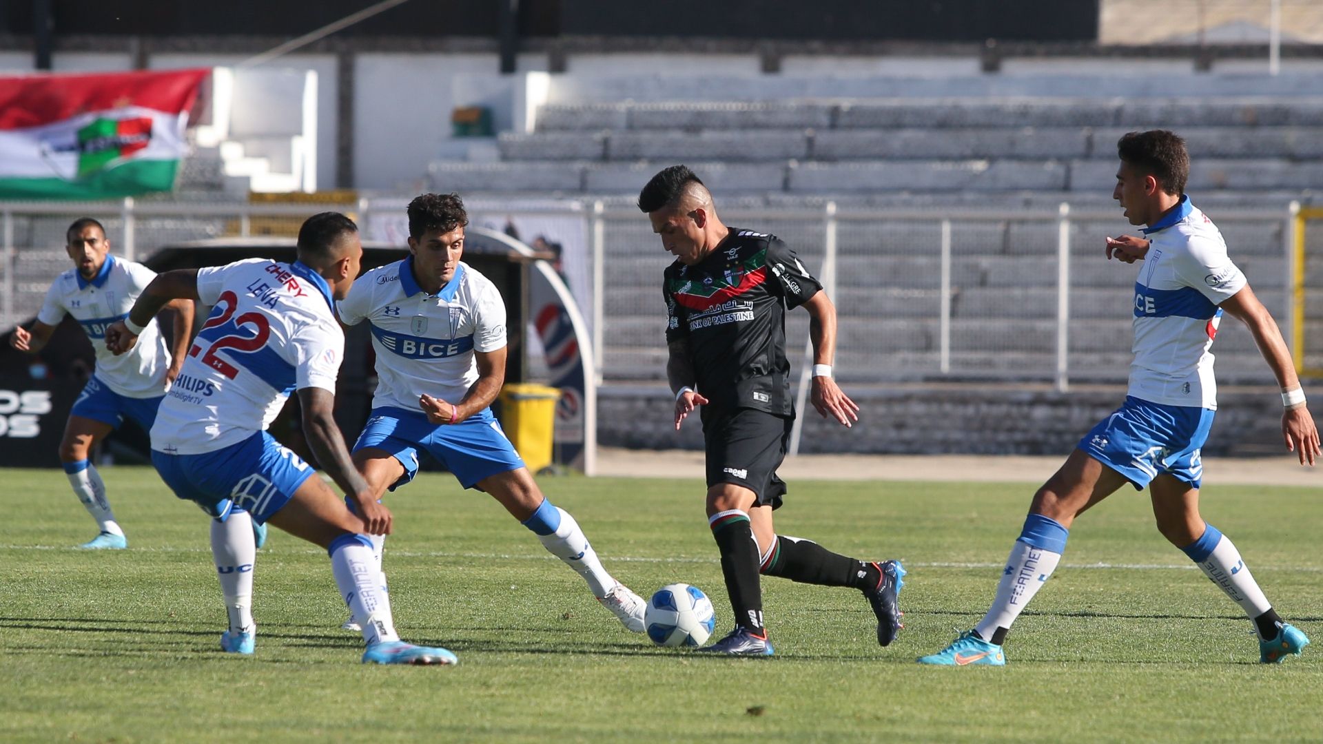 Universidad Católica - Palestino