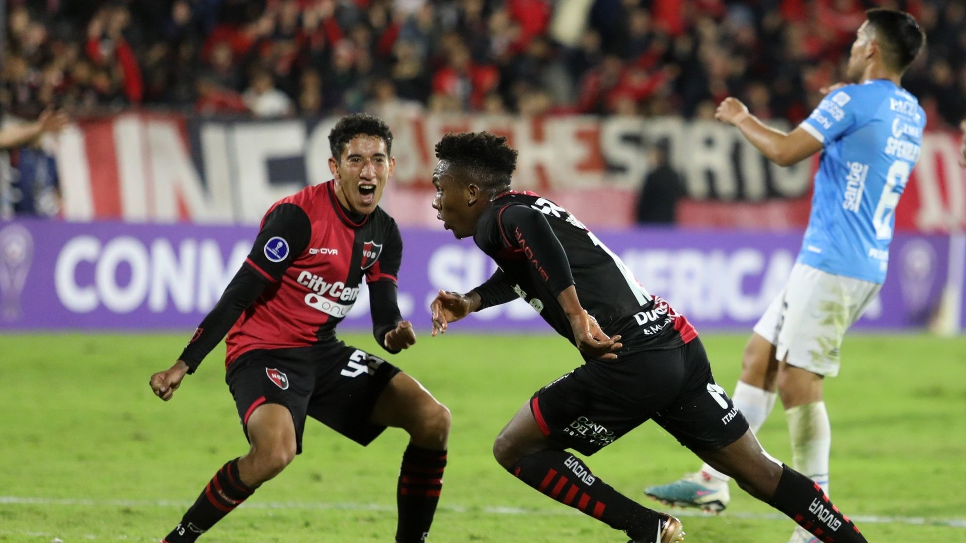 18042023 Newell's Blooming