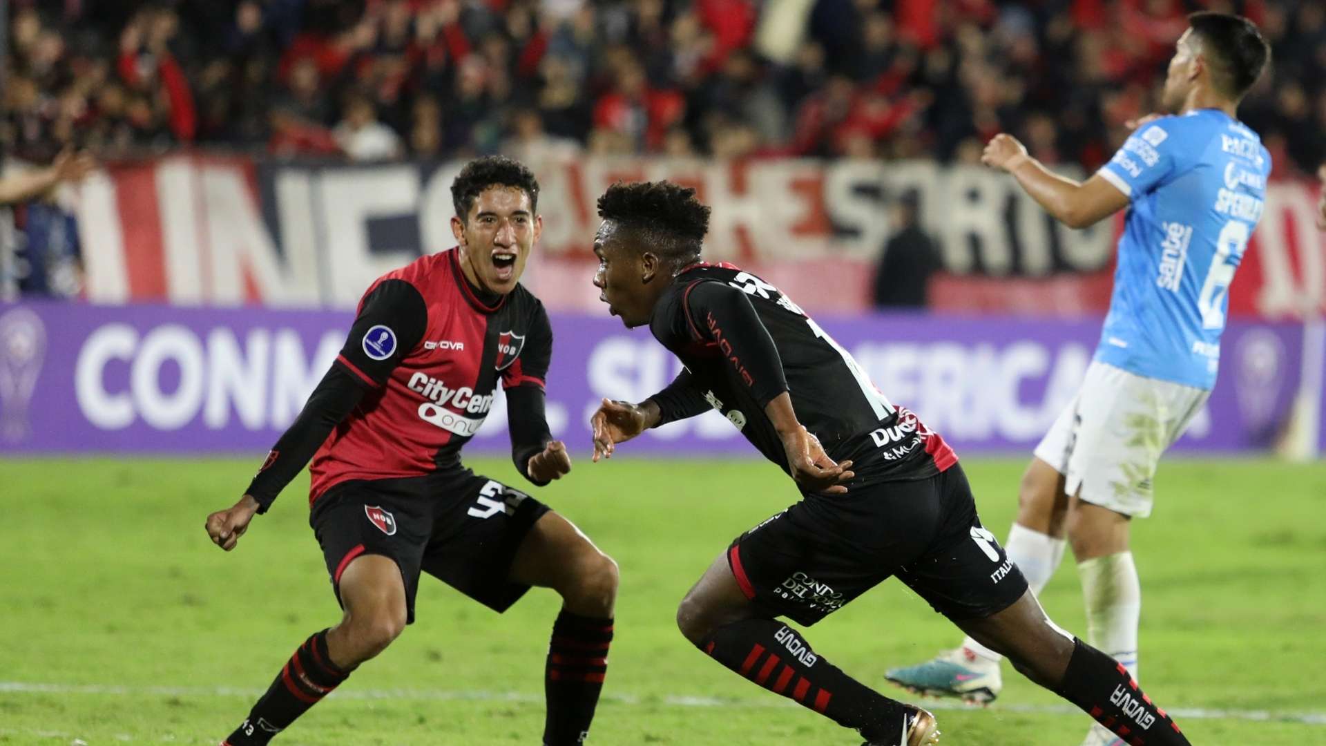 18042023 Newell's Blooming