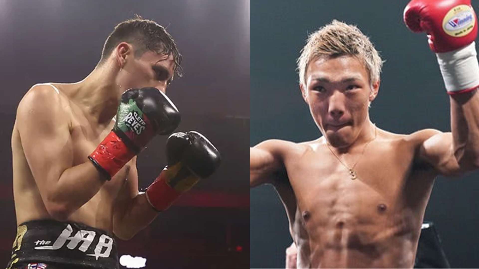 kameda kyonosuke vs alan picasso