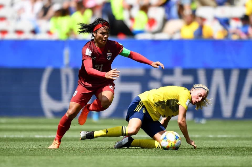 ชบาแก้ว