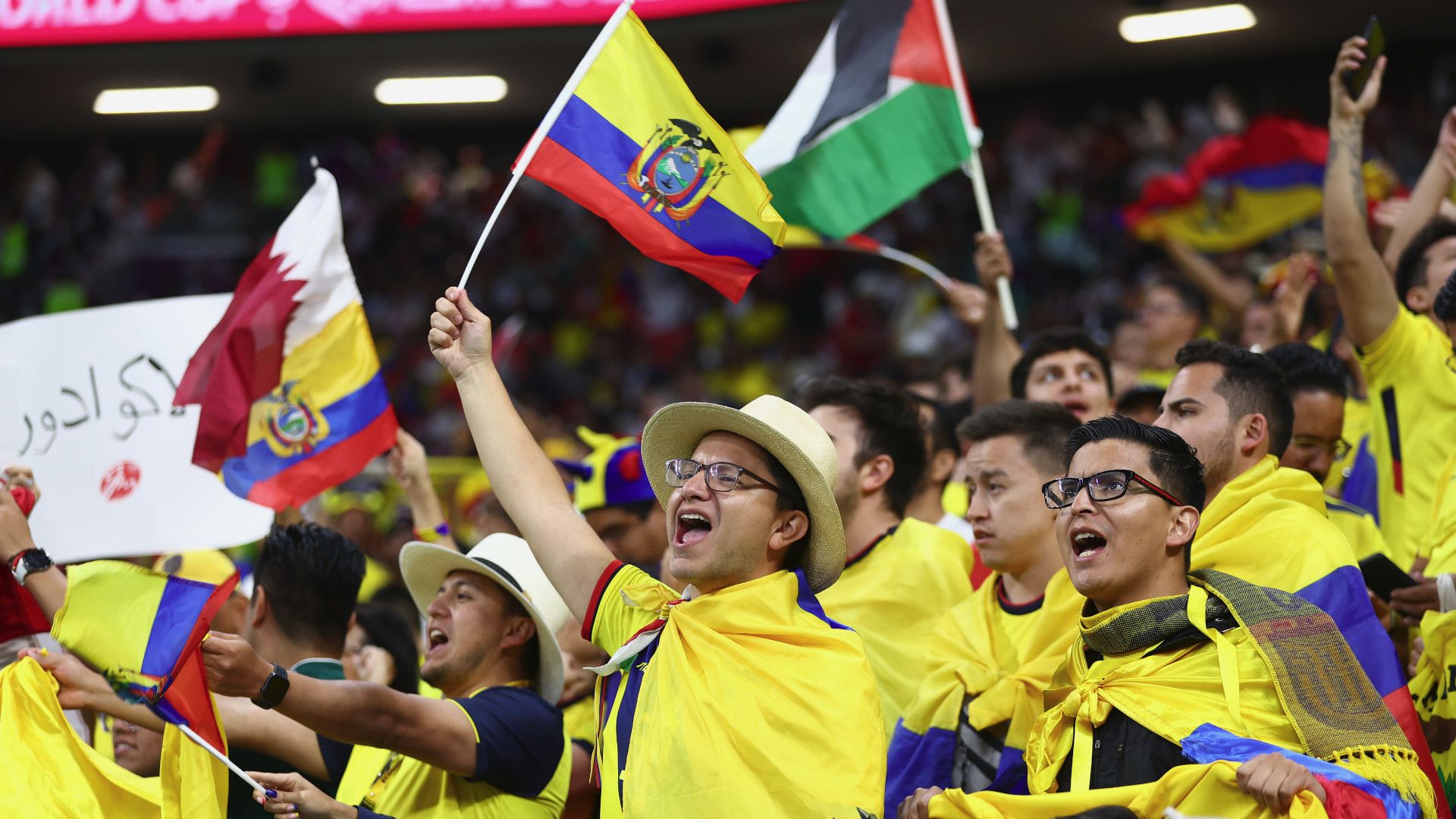Ecuador fans World Cup