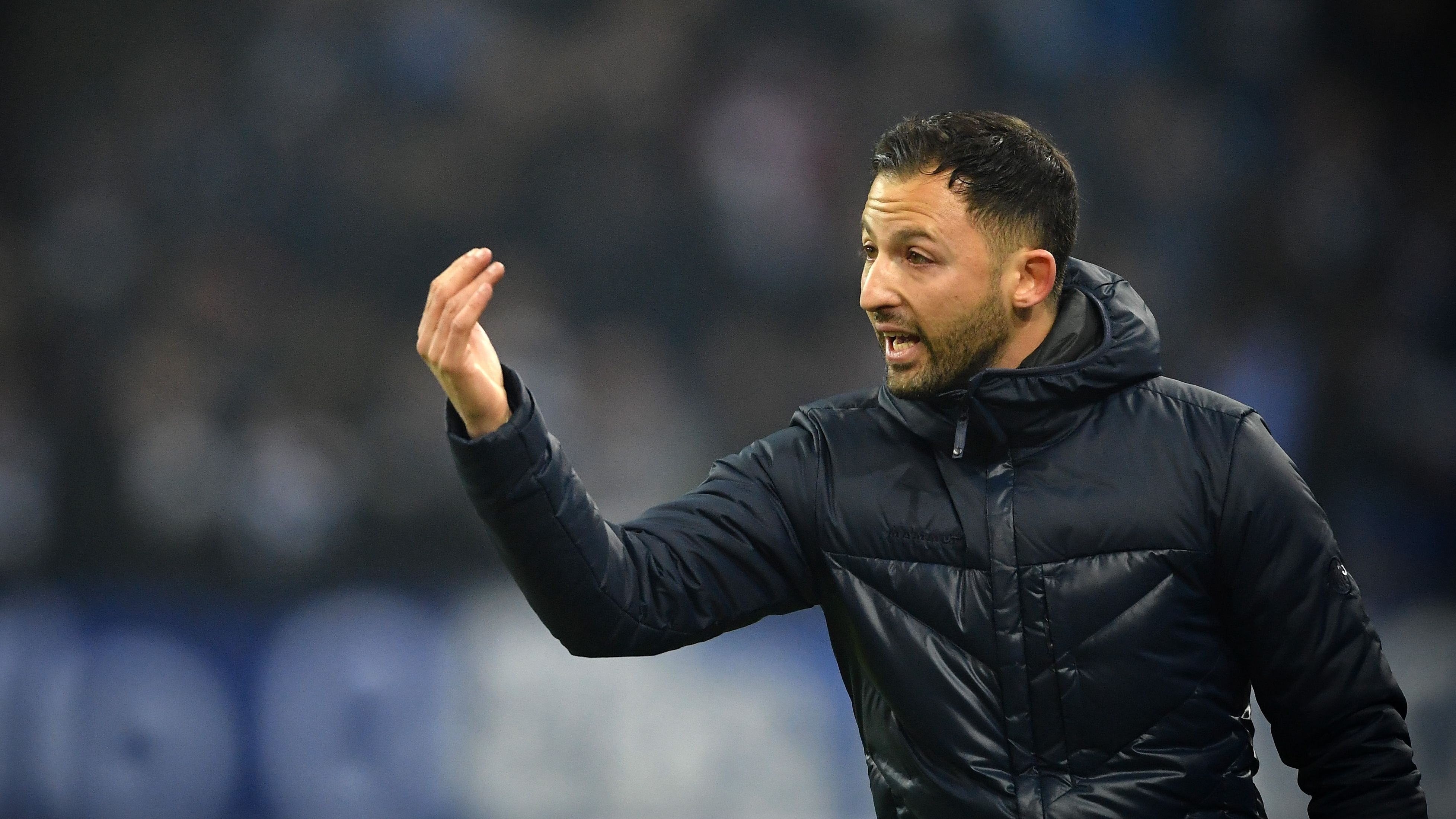 Domenico Tedesco Schalke 04