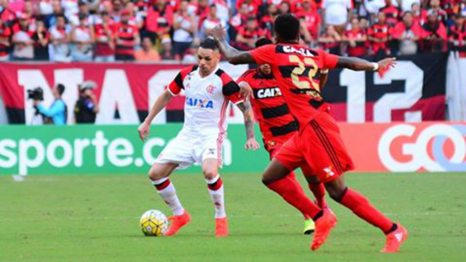 Pará flamengo sport