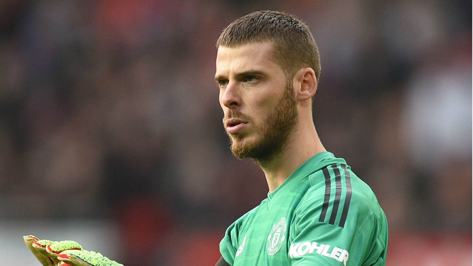David de Gea Manchester United 2018-19