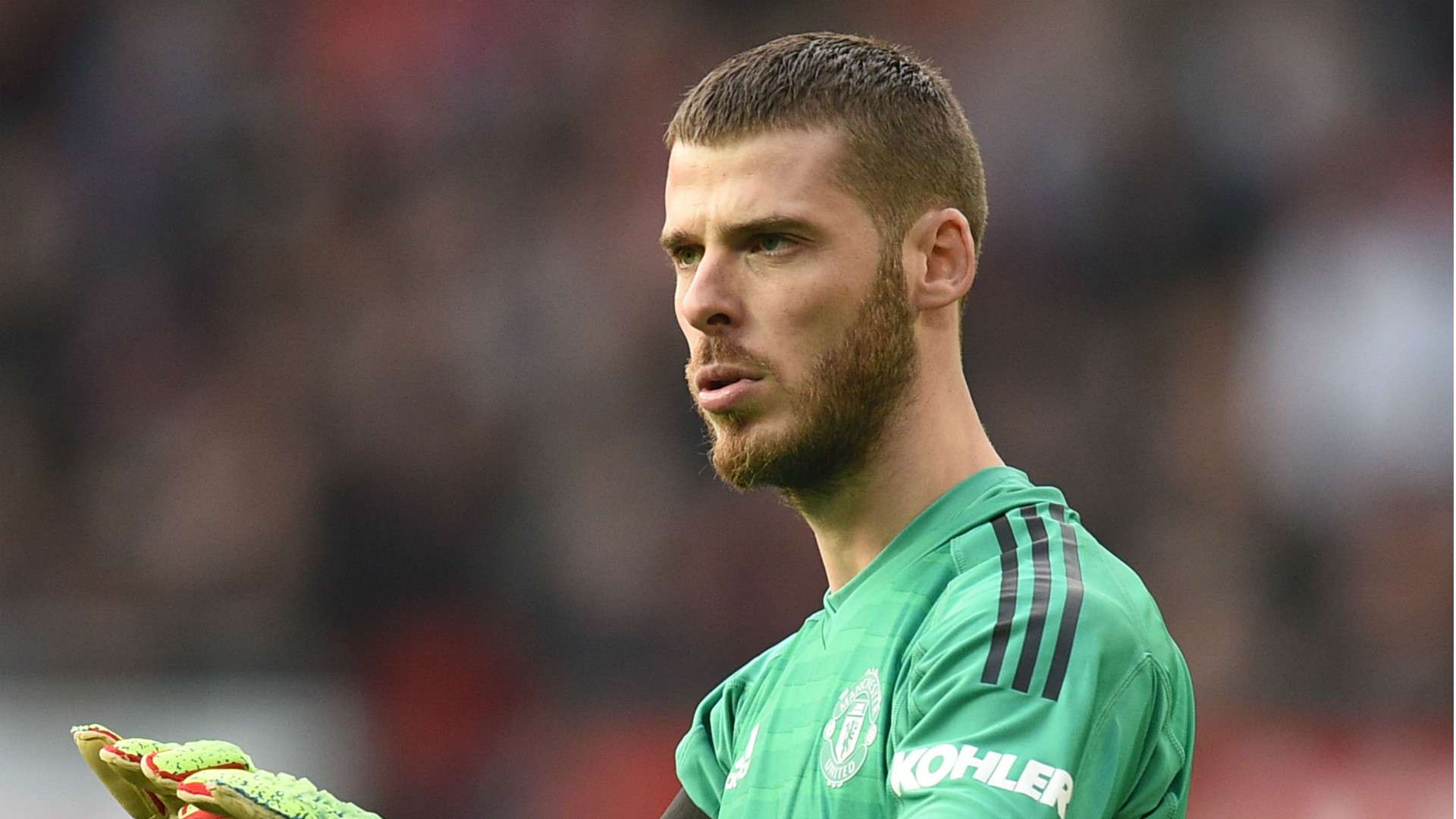 David de Gea Manchester United 2018-19