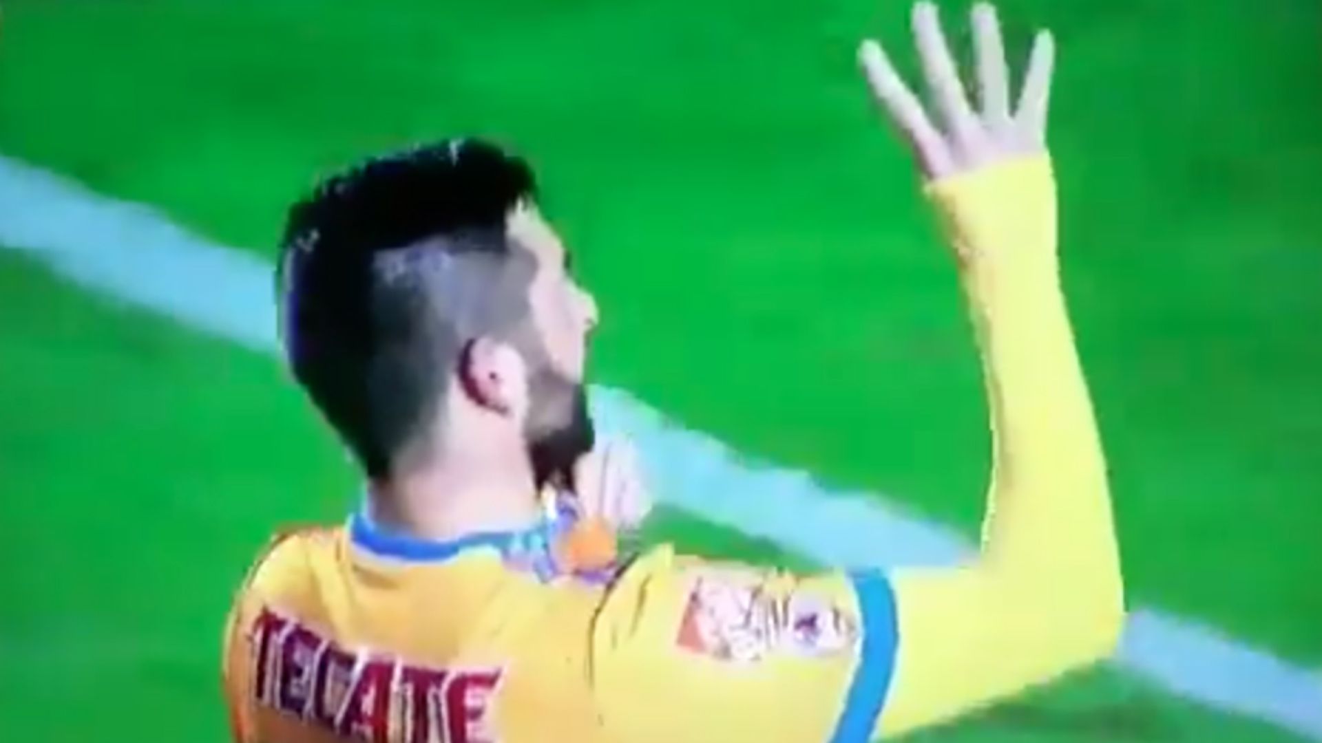 Gignac festejo