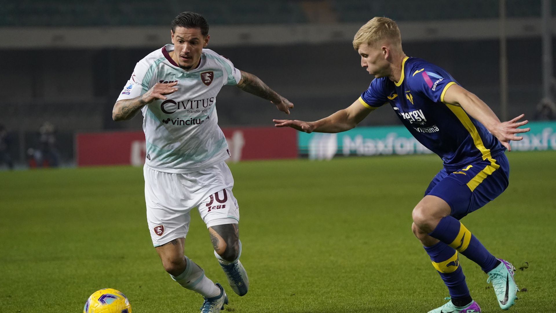 Pasquale Mazzocchi Verona Salernitana Serie A