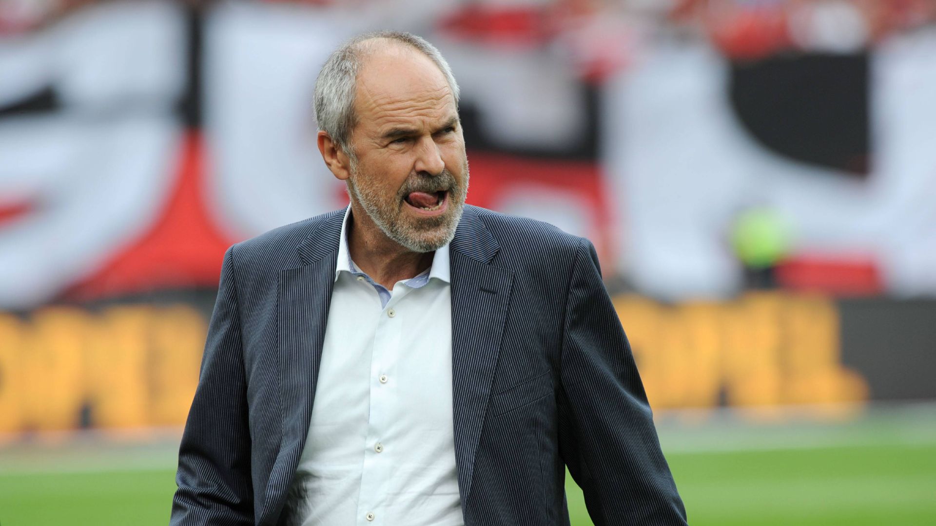 GER ONLY Wolfgang Holzhäuser 2013