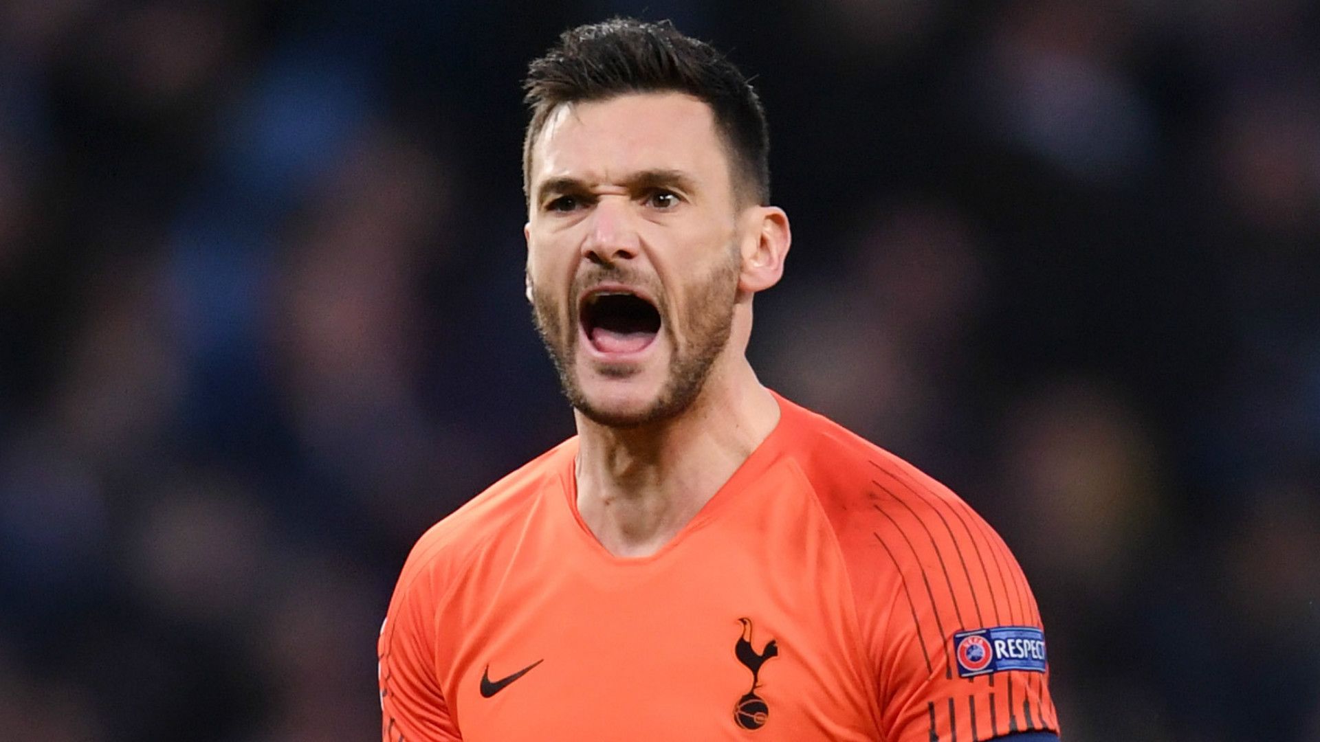 Hugo Lloris Tottenham 2018-19