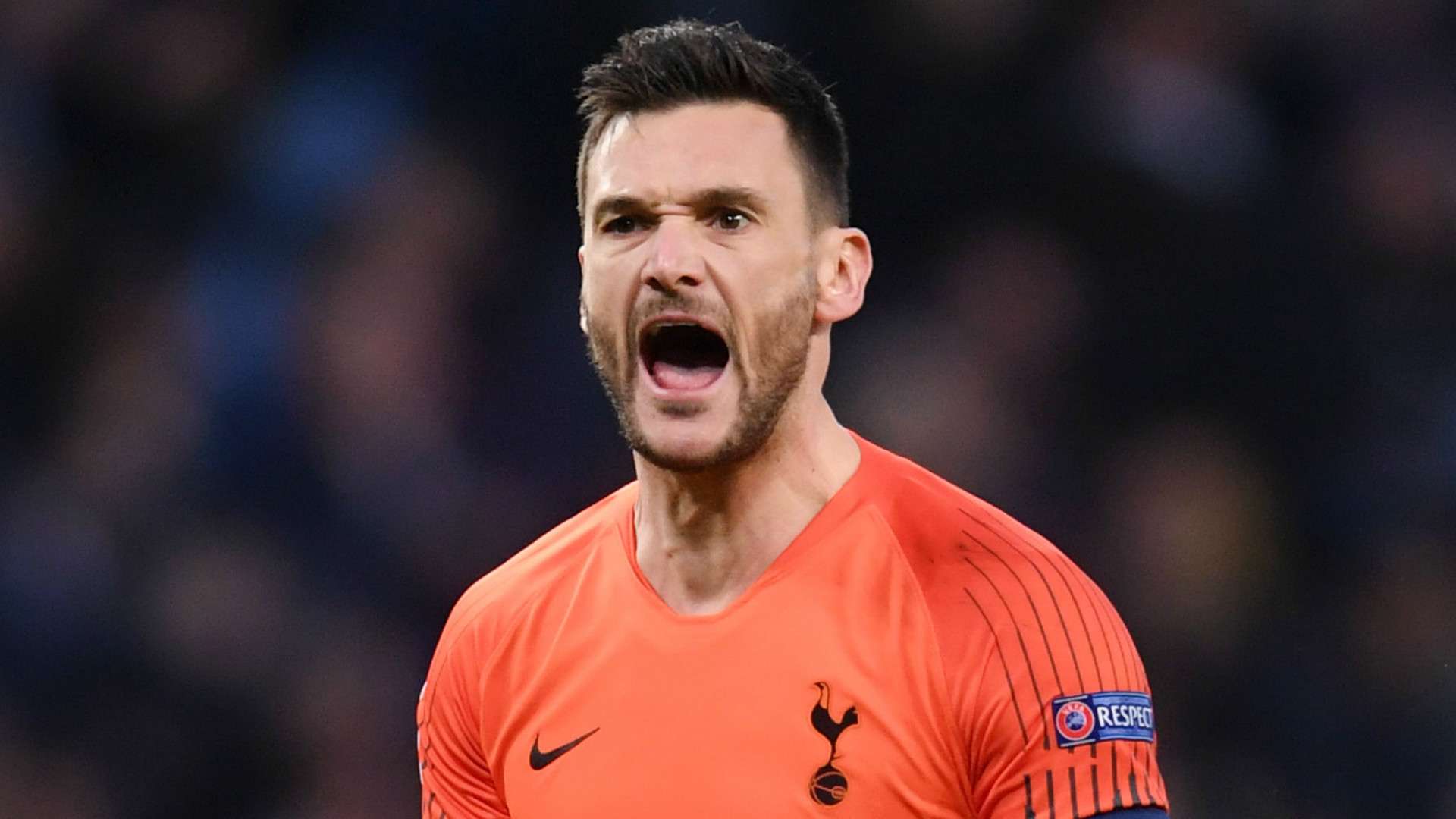 Hugo Lloris Tottenham 2018-19