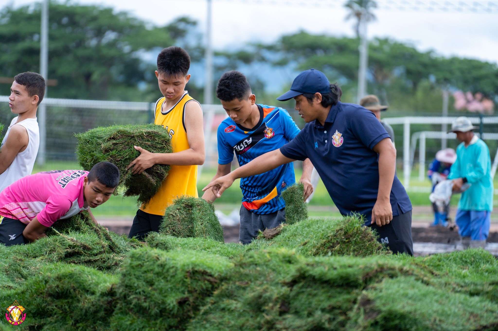 หนองบัว พิชญ