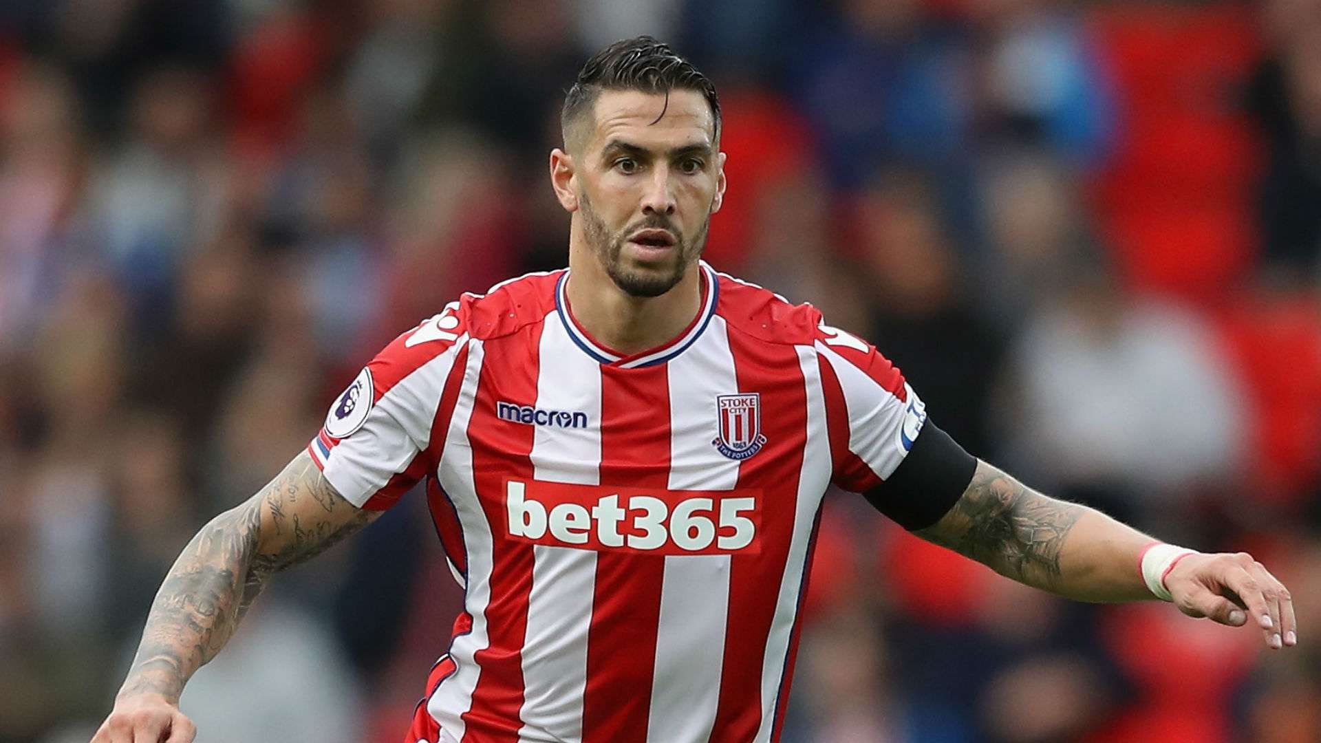 Geoff Cameron Stoke City