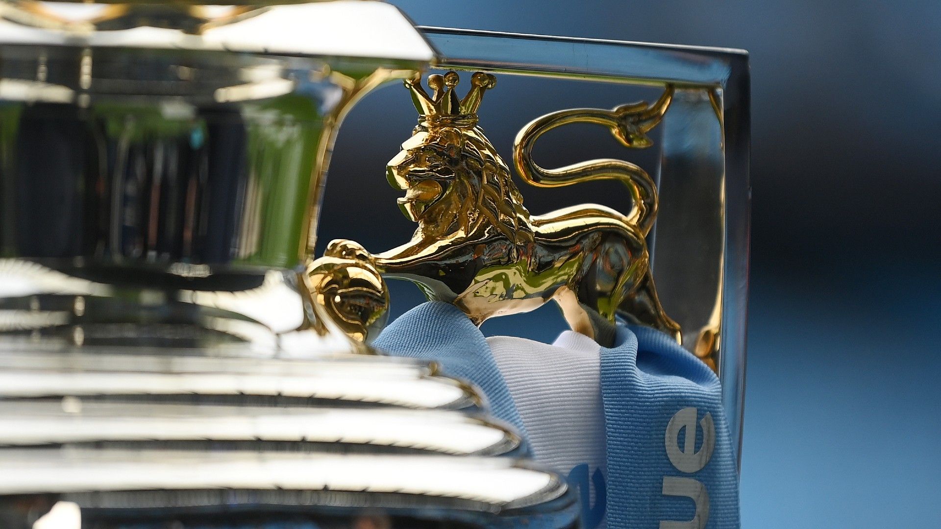 A detailed view of the Premier League trophy 1920
