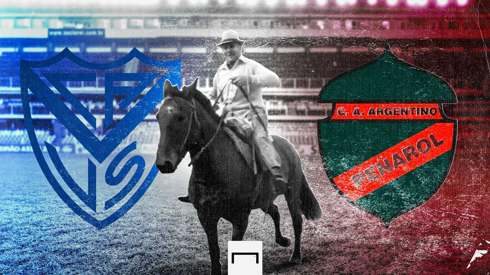 Arbitro Cavallo GFX