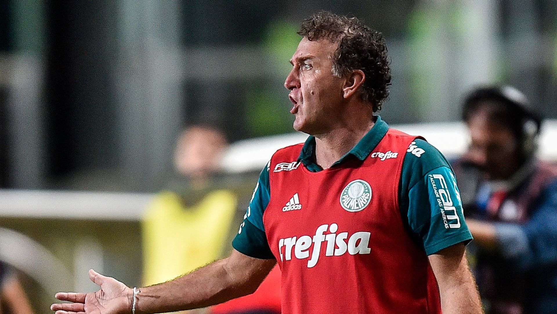 Cuca Atlético-MG Palmeiras Brasileirão 17112016